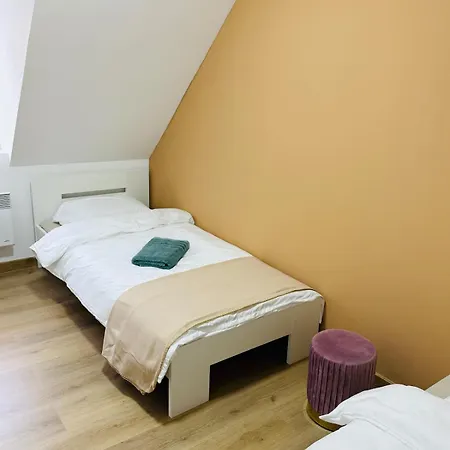 Quiet, Bright & Downtown * Mulhouse