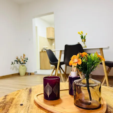 Apartment Quiet, Bright & Downtown Mulhouse