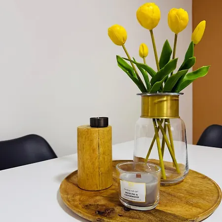 Sienna - Calme Et Douceur Au Coeur De Mulhouse ミュルーズ