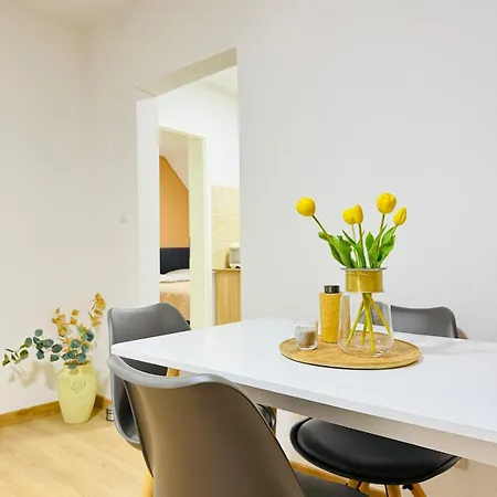 Apartment Quiet, Bright & Downtown Mulhouse