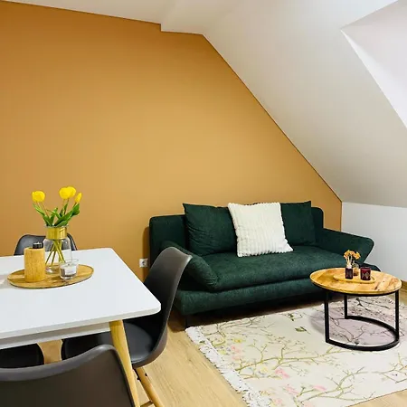 Quiet, Bright & Downtown Mulhouse