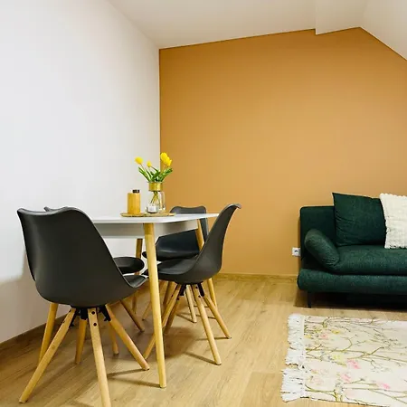 Sienna - Calme Et Douceur Au Coeur De Mulhouse * ミュルーズ